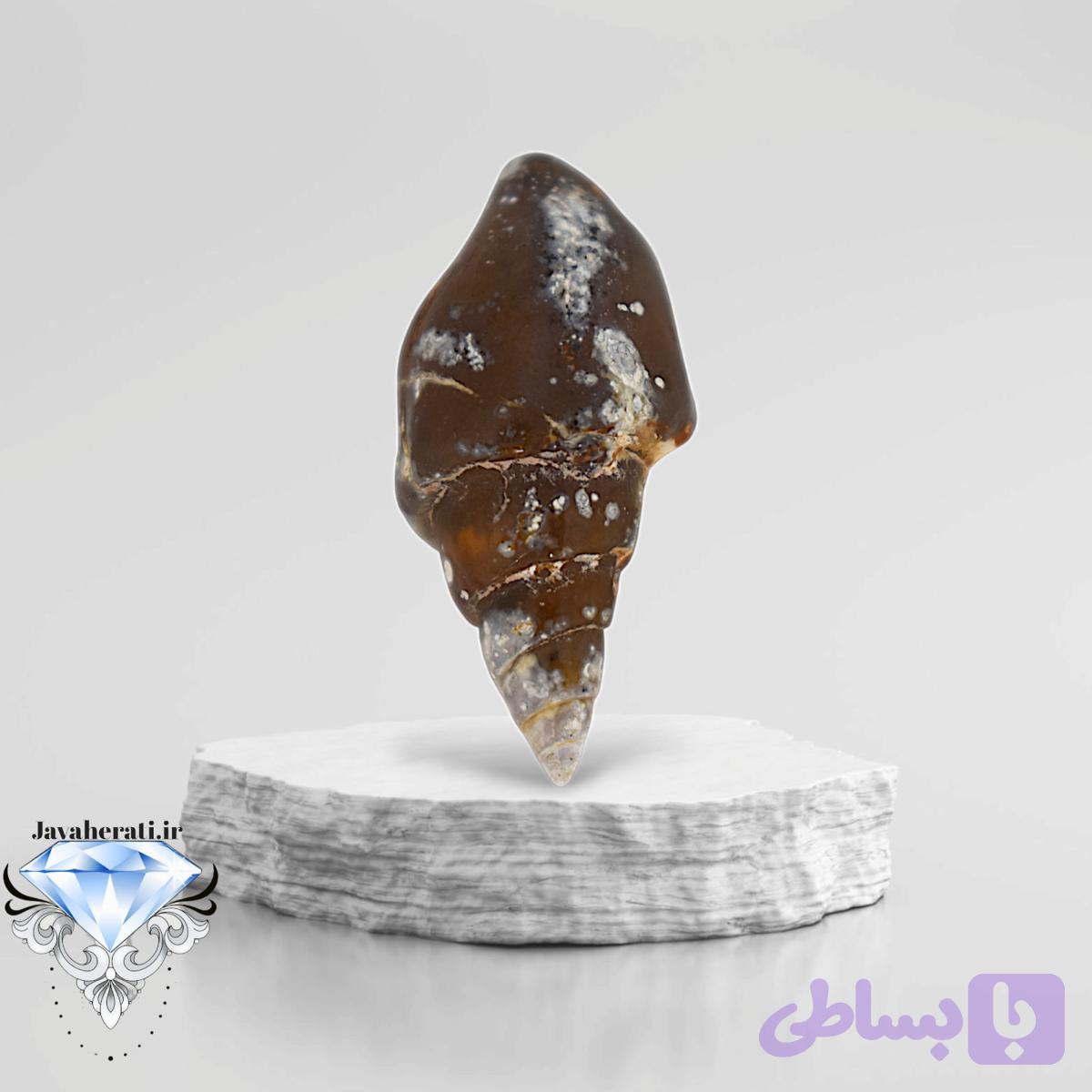 عرج معقق اصیل و کمیاب
