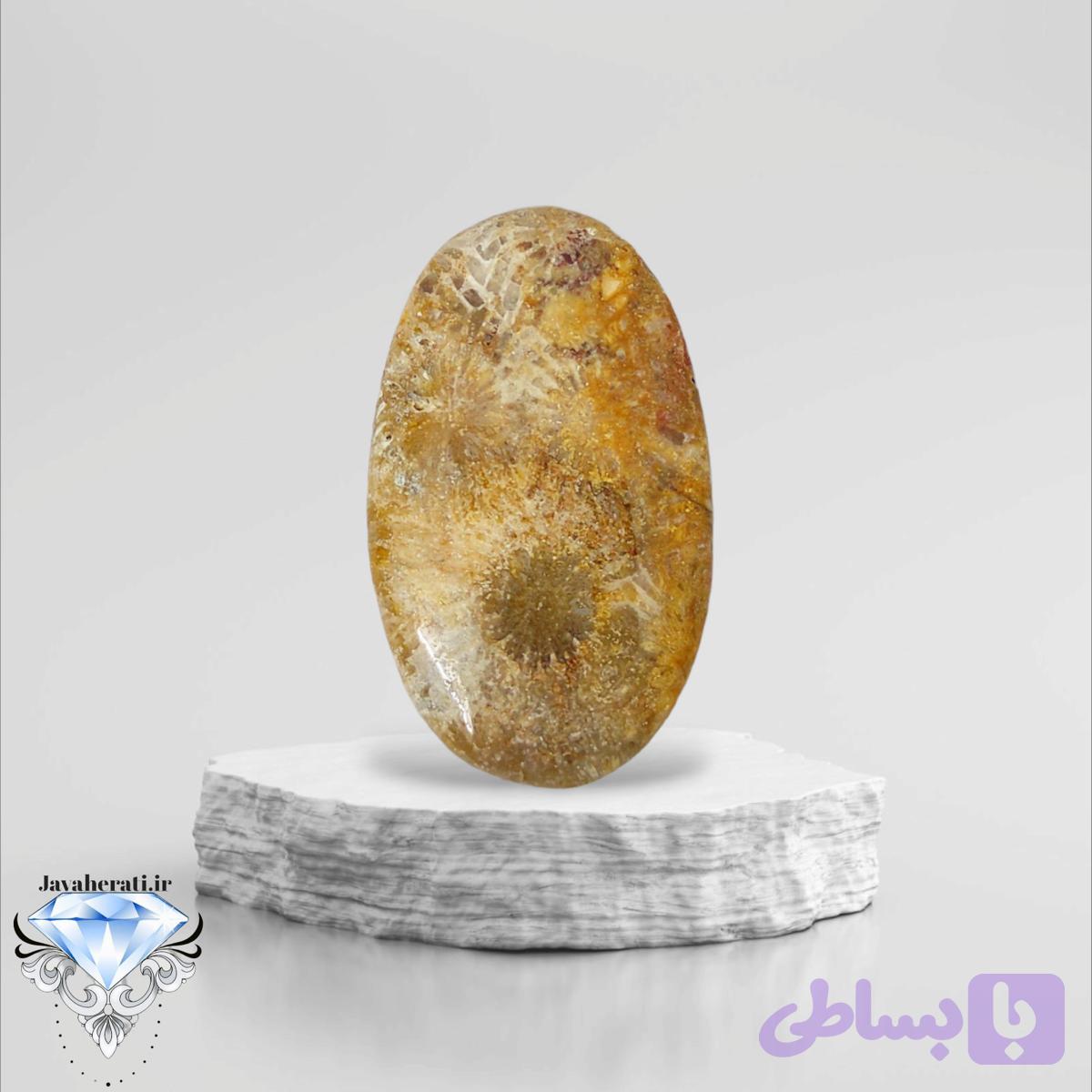 نگین مرجان فسیلی طبیعی