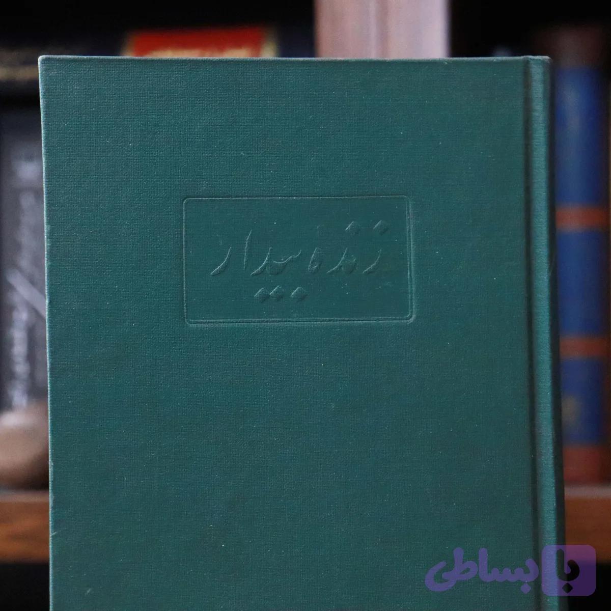 کتاب دست دوم زنده بیدار نوشته‌ی ابن طفیل