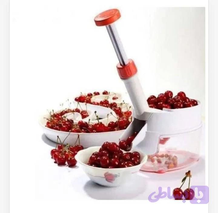 هسته گیر البالو