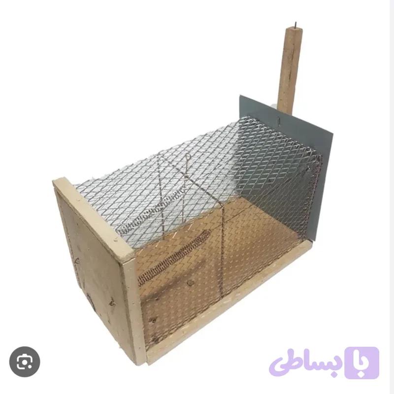 تله موش زنده گیر سایز متوسط رو به بالا ارسال رایگان
