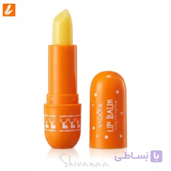 بالم لب سادور — تصویر 1