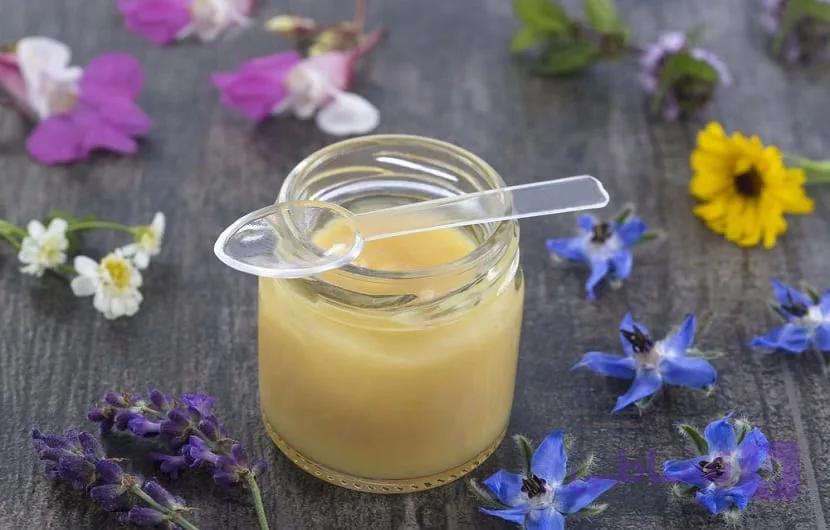 ژل رویال نوچ 15 گرم