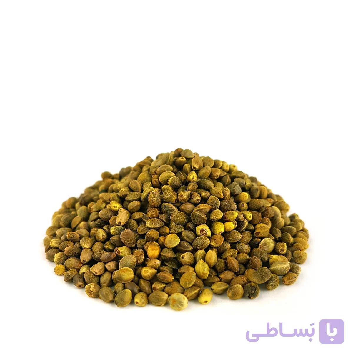 شاهدانه برشته