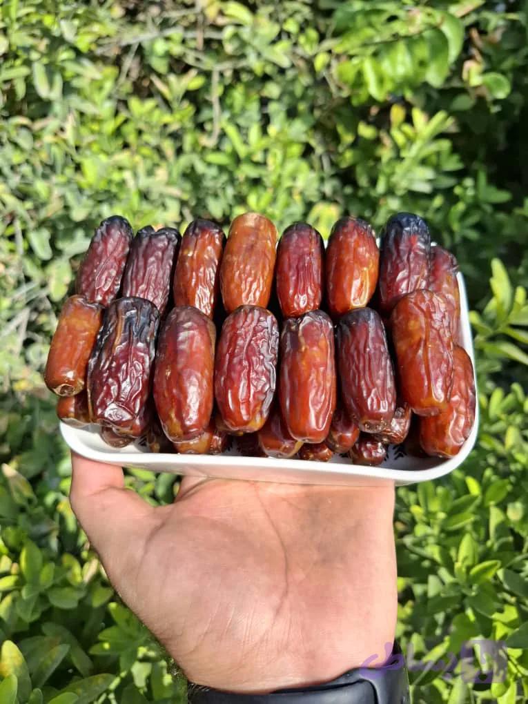 خرما نغار(نگار) درجه یک