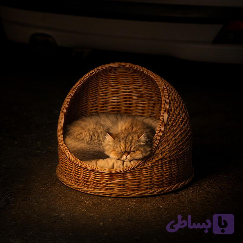 سبد خواب گربه