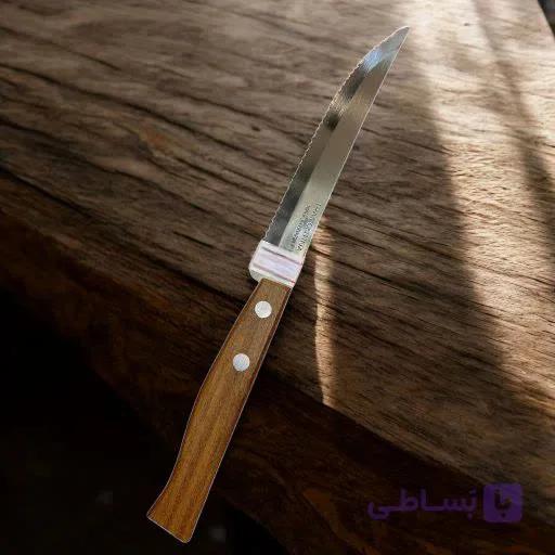 پک 2 عددی چاقو دم دستی ترامونتینا دسته پلاستیک