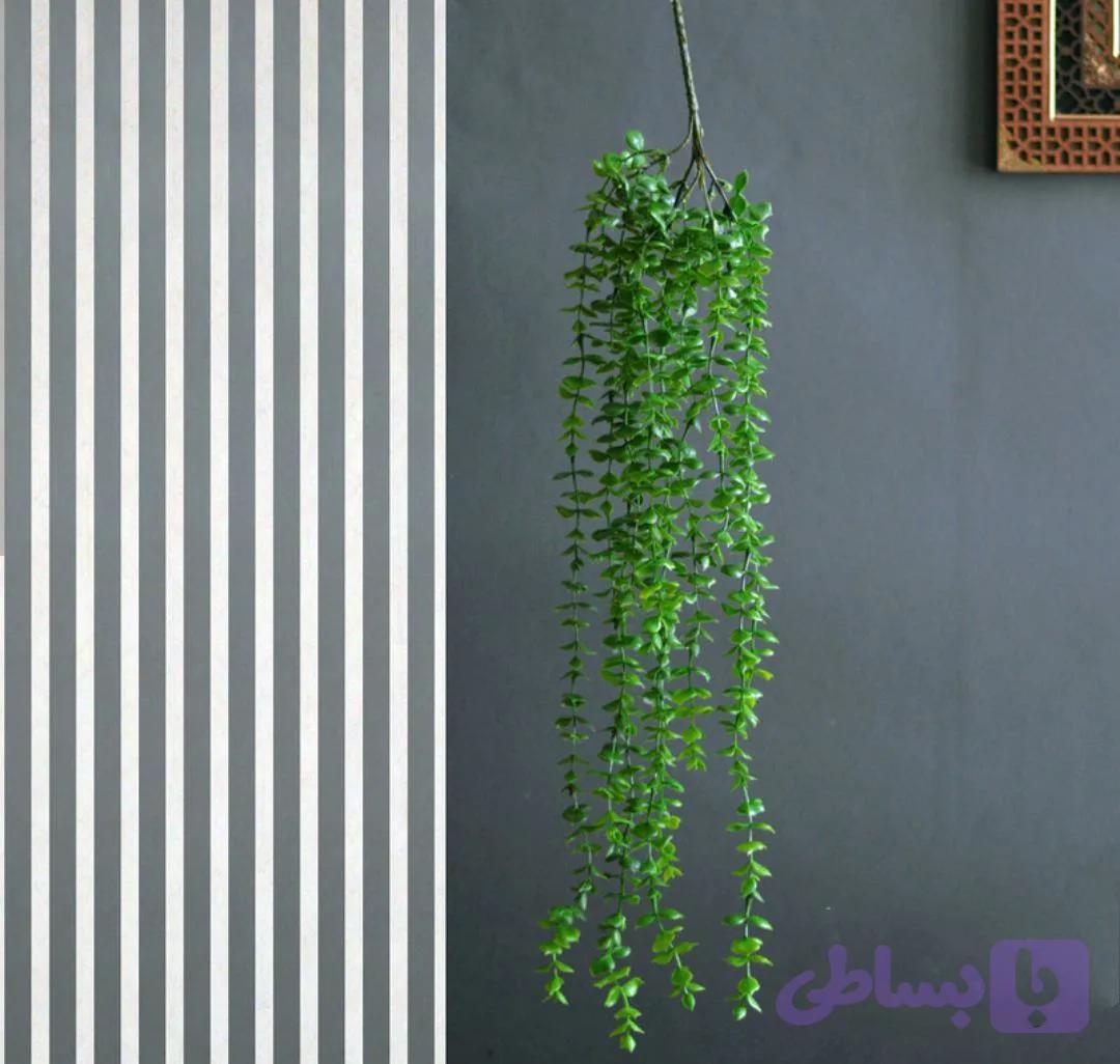 ریسه شمشاد