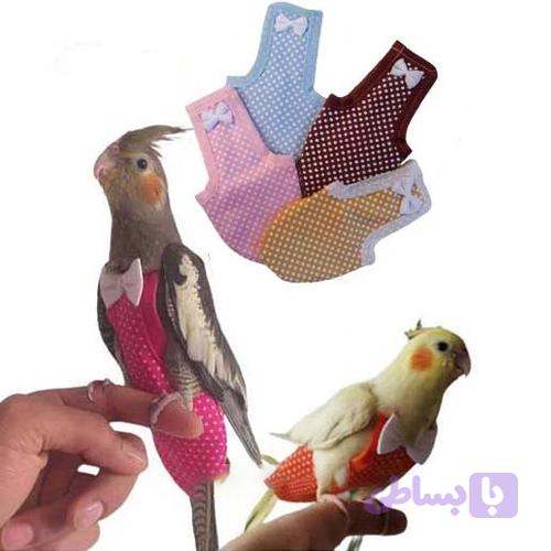 پوشک عروس هلندی