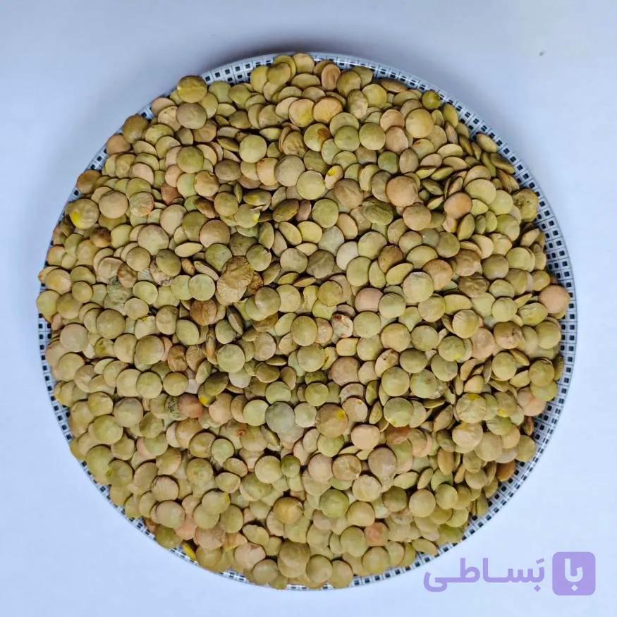 عدس درشت اعلاء - درجه یک و با کیفیت (کیلویی)