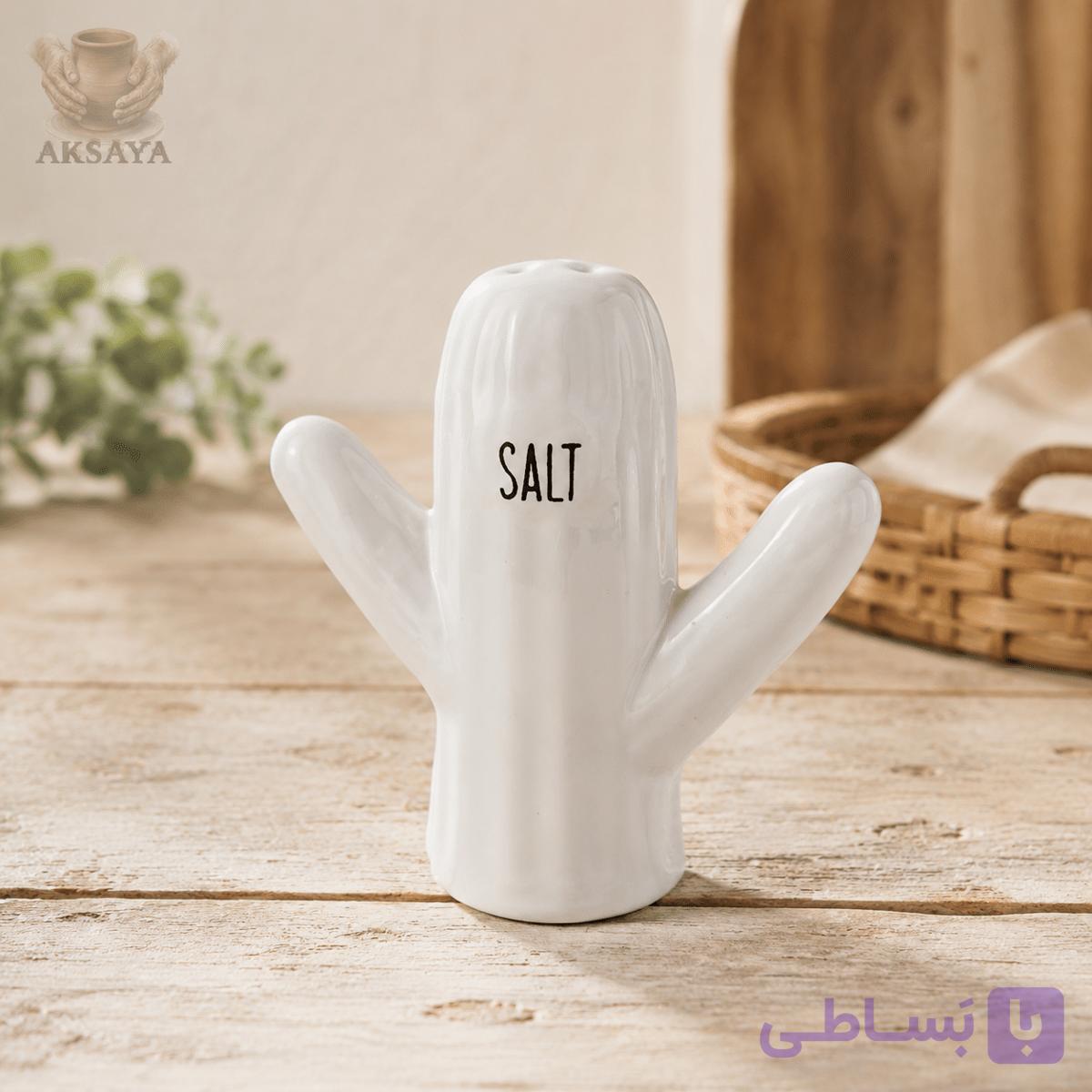 نمکدان سرامیکی مدل کاکتوس