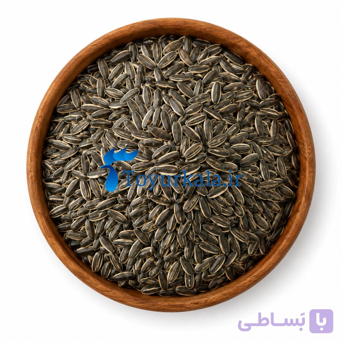 تخمه درشت طوطی سانان (1 کیلوگرمی)