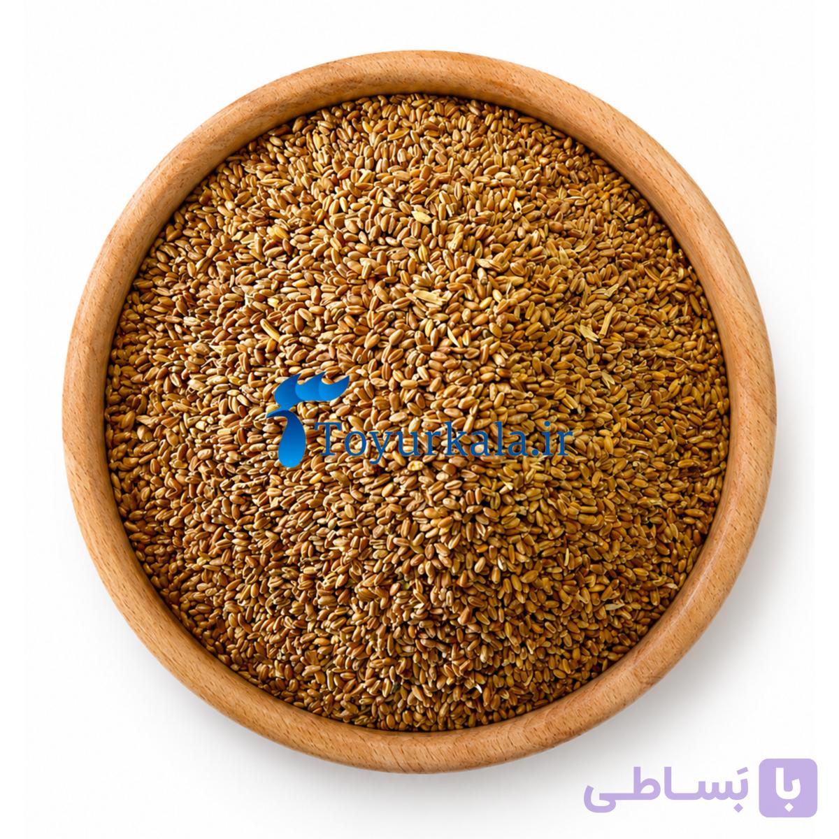 گندم قرمز مرغی و کبوتر (5 کیلوگرمی)