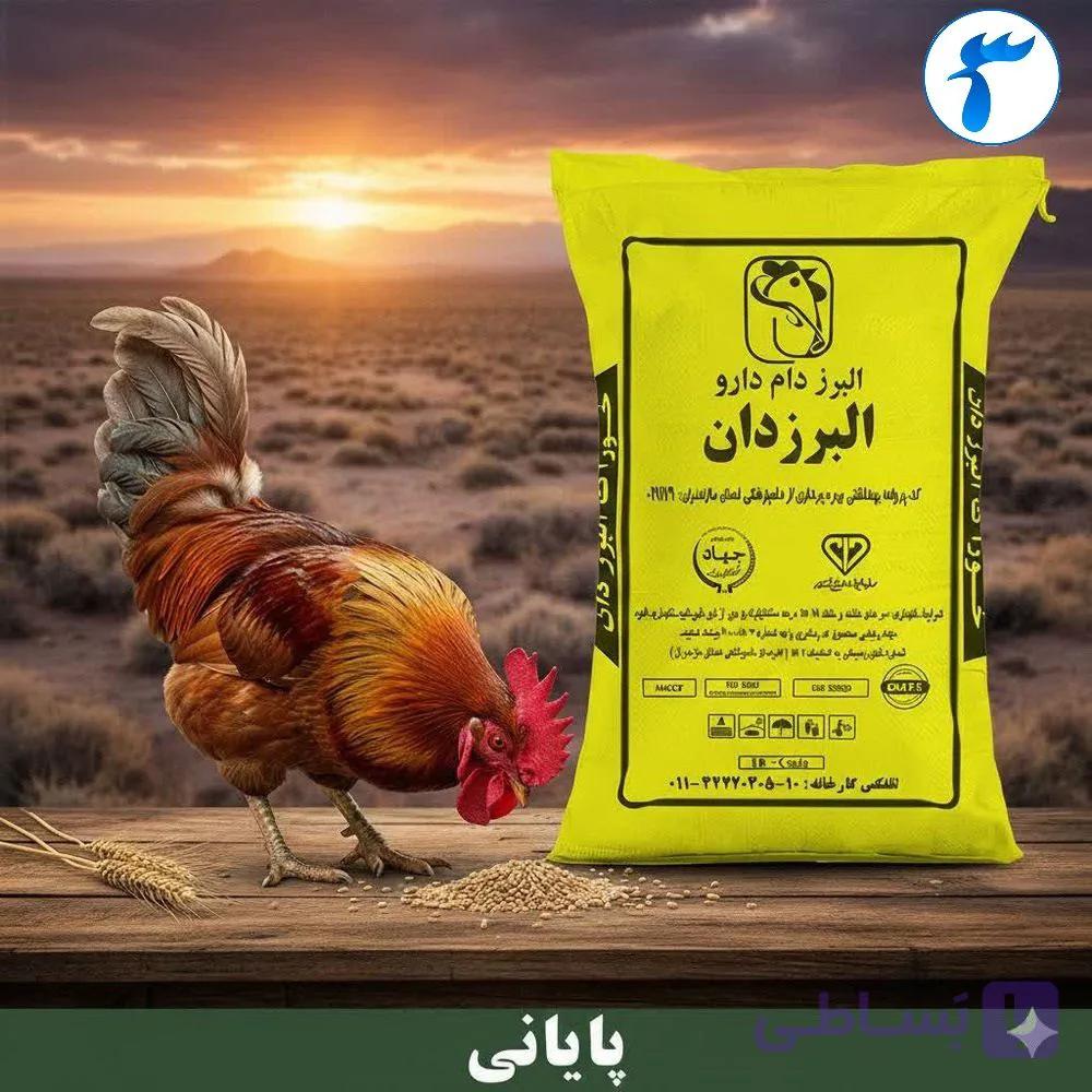 دان پایانی (10 کیلوگرمی)