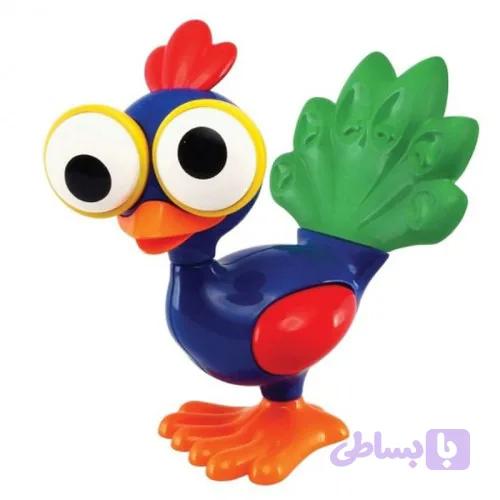 طاووس چشم گردون tolo