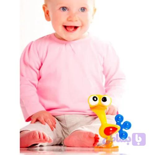 پرنده چشم گردون tolo کد89679