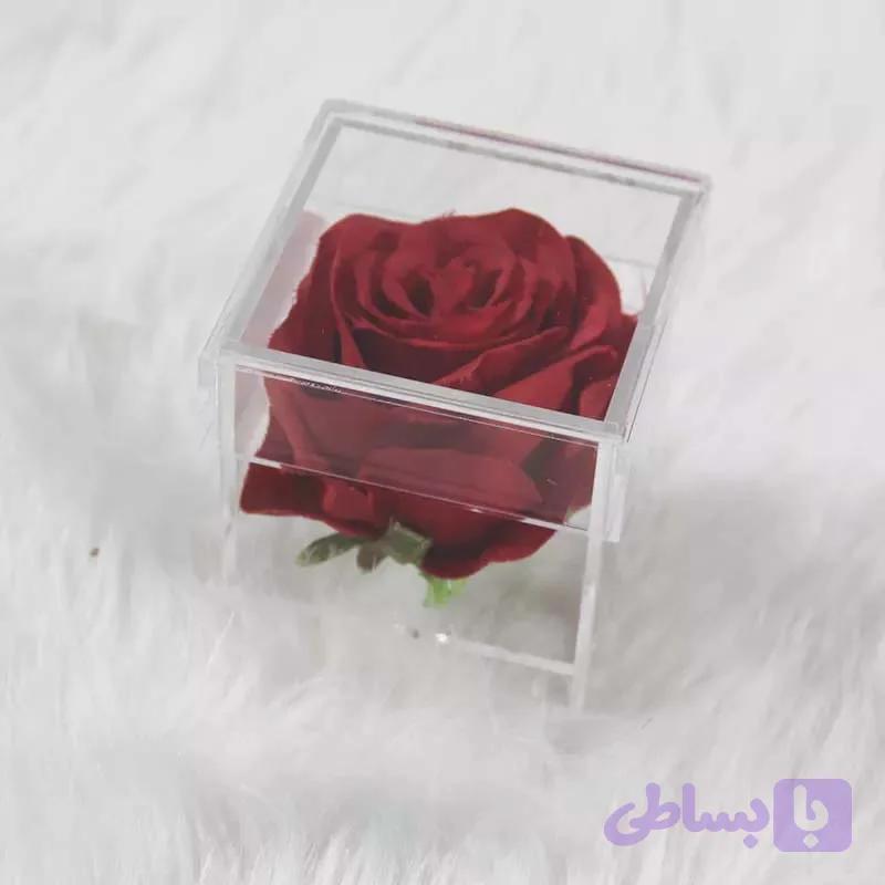باکس درب دار پلکسی گلاس — تصویر 1
