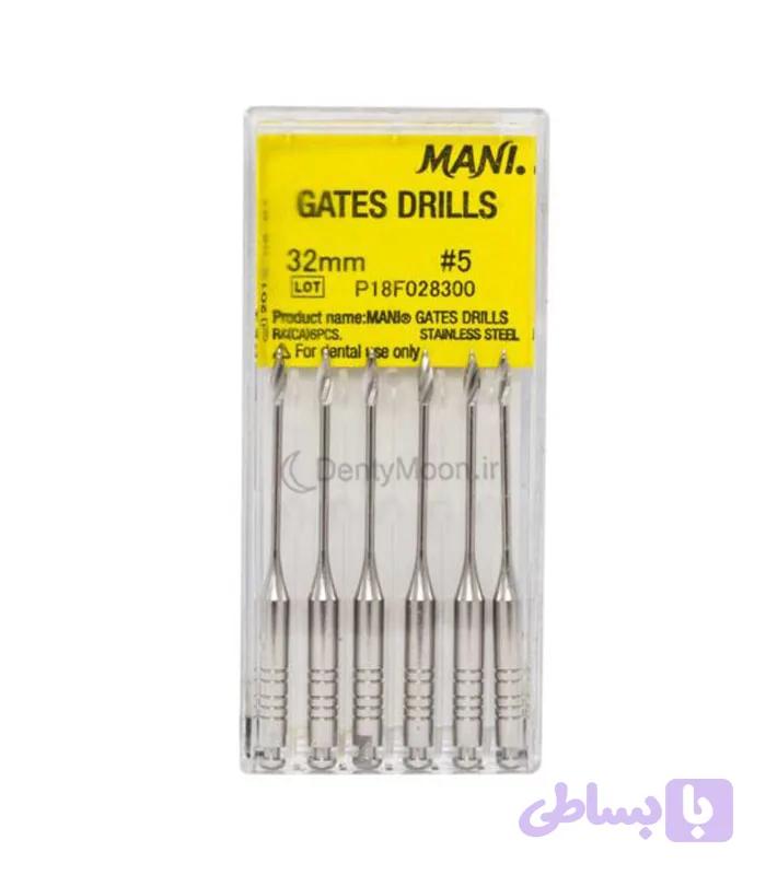 گیتس مانی Mani Gates — تصویر 1