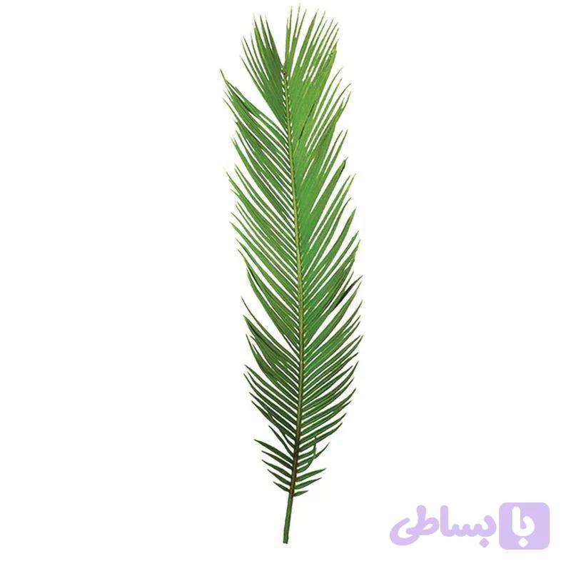 برگ سیکاس مصنوعی دسته 10 عددی کد 144 رنگ سبز