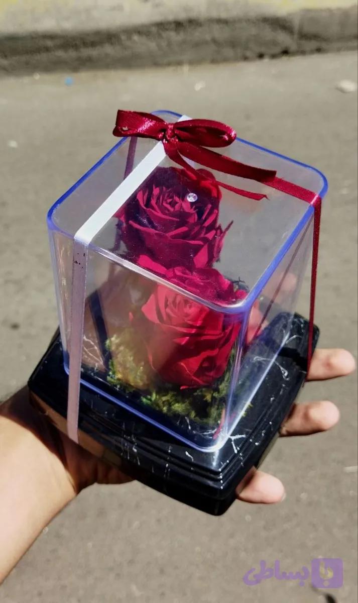 گل رز جاودان دو گل مدل rose کد 204