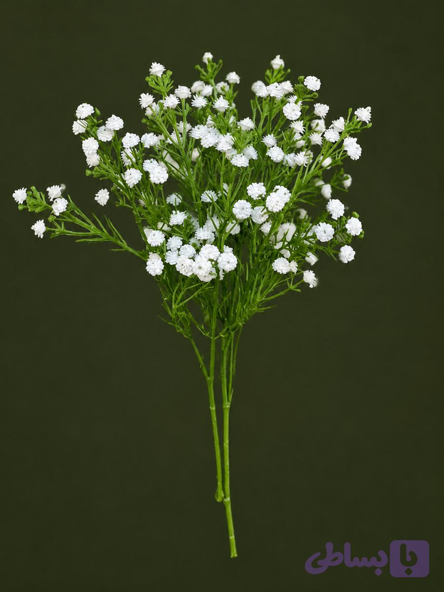 گل عروس (ژیپسوفیلیا) رنگ سفید مدلgypsophila