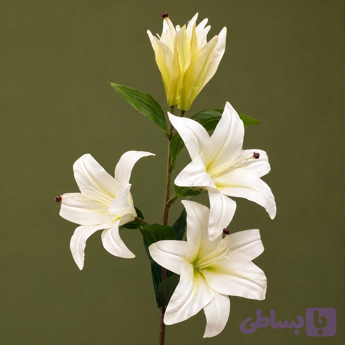 گل لیلیوم ۳ گل و 2 غنچه باز رنگ سفیدمصنوعی کد 56