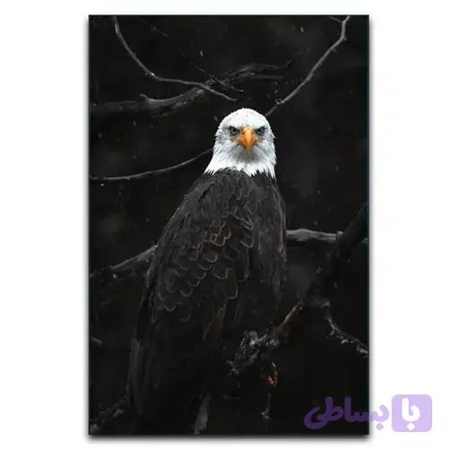 تابلو شاسی طرح عقاب