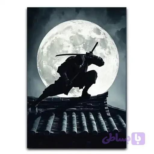 تابلو نینجا Ninja