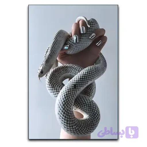 تابلو طرح مار سفید