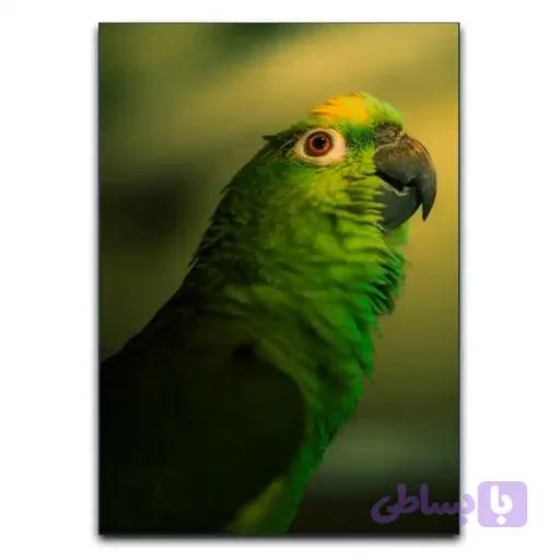 تابلو طوطی سبز