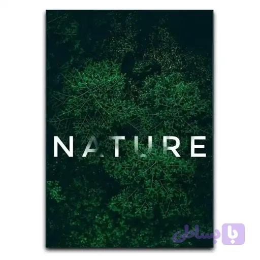 تابلو طبیعت Natural