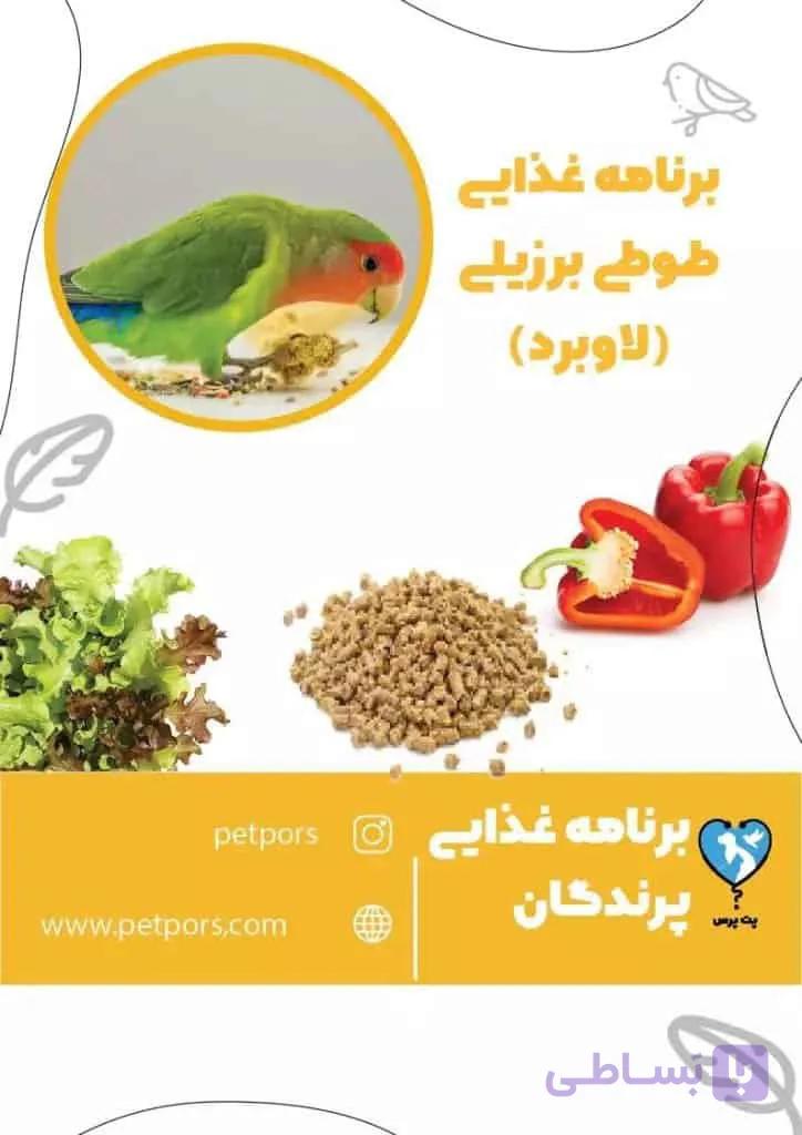 برنامه غذایی طوطی برزیلی سرلاکی تا بالغ (فایل آماده)