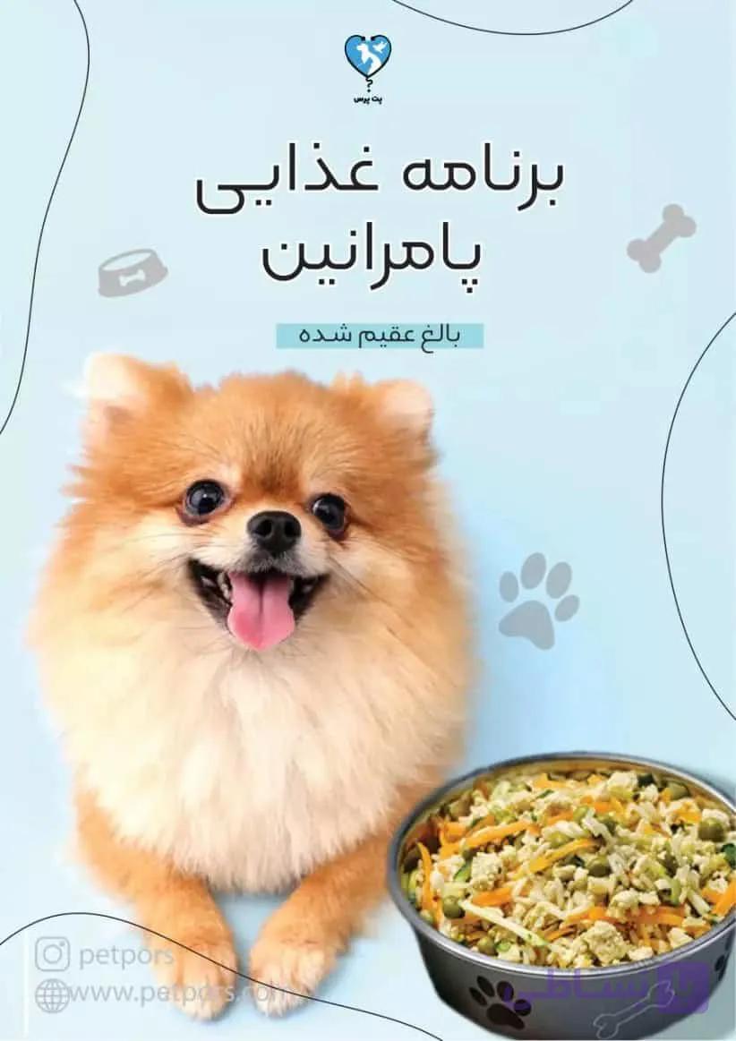 برنامه غذایی مخصوص سگ ژرمن بالغ یا توله سالم (فایل آماده)