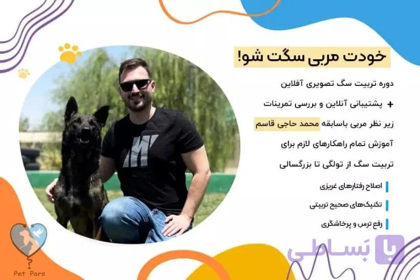 دوره تربیت سگ رویایی پت پرس (پکیج کامل تربیت سگ سال 1403)