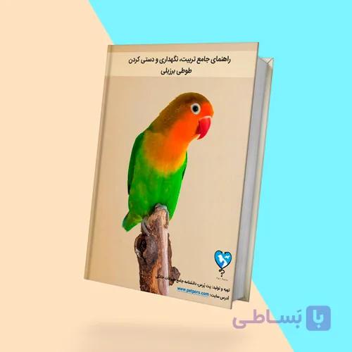 راهنمای جامع آموزش دستی کردن طوطی برزیلی + نگهداری، تربیت و پرورش