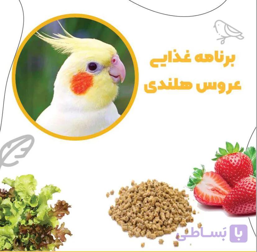 برنامه غذایی عروس هلندی سالم در همه سنین (فایل آماده)