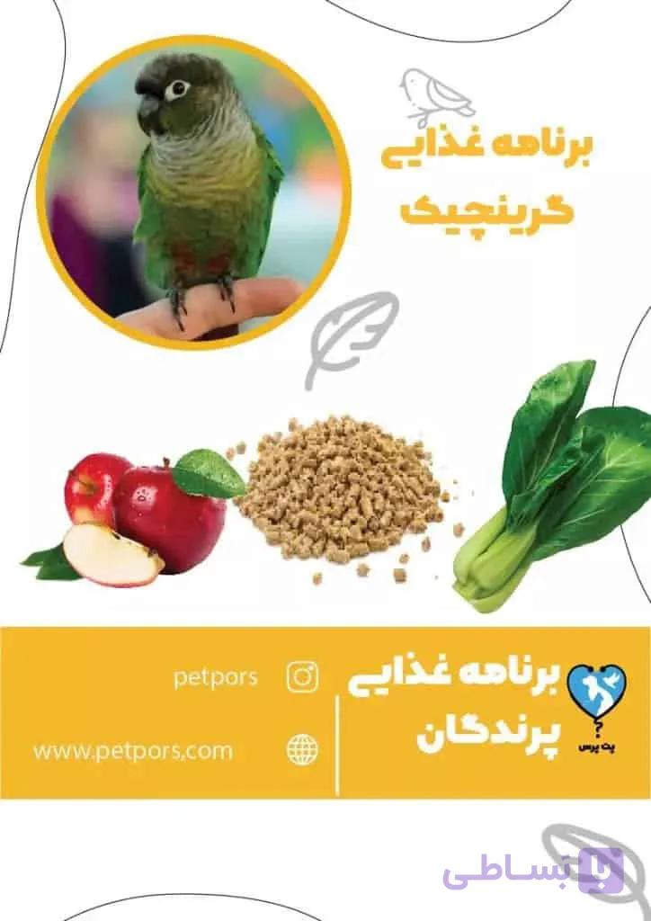 برنامه غذایی طوطی گرینچیک در تمام دوران‌‌ها