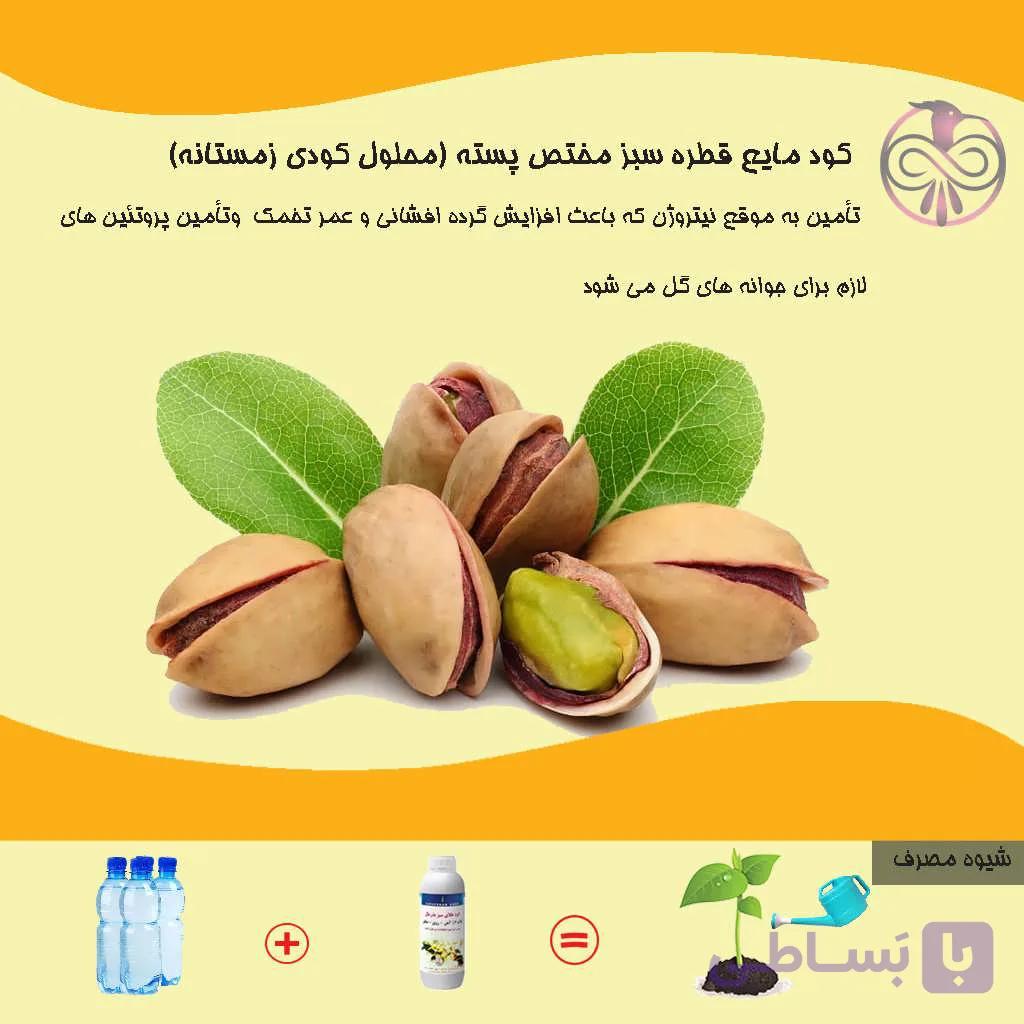 کود مایع قطره سبز مختص پسته (محلول کودی زمستانه)