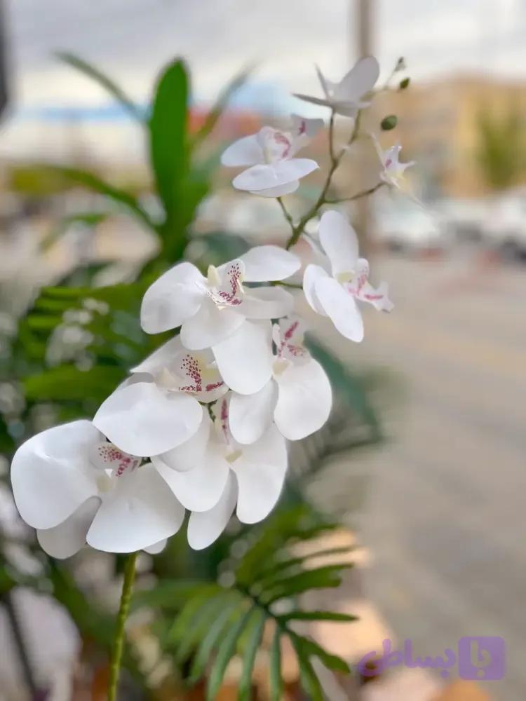 گل ارکیده مصنوعی — تصویر 1