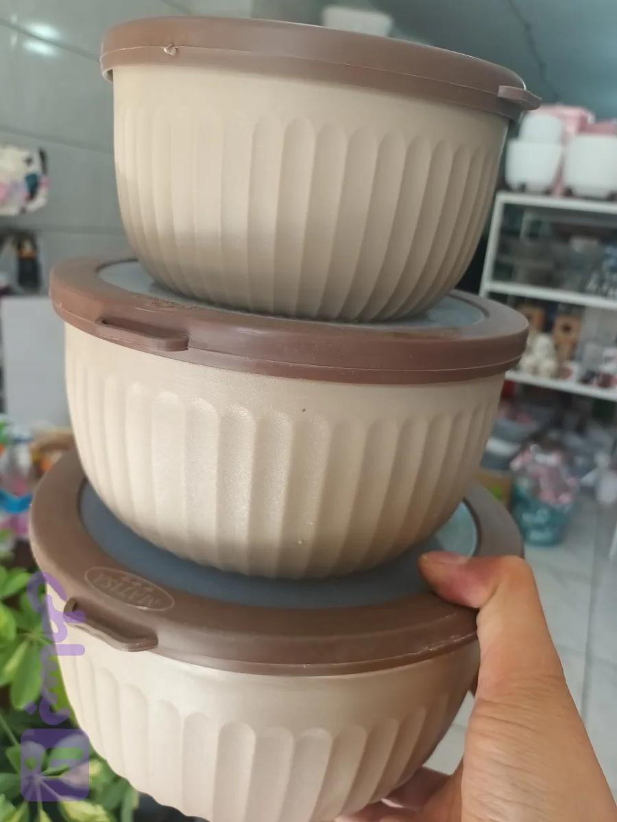 ظروف فریزری ۳عددی