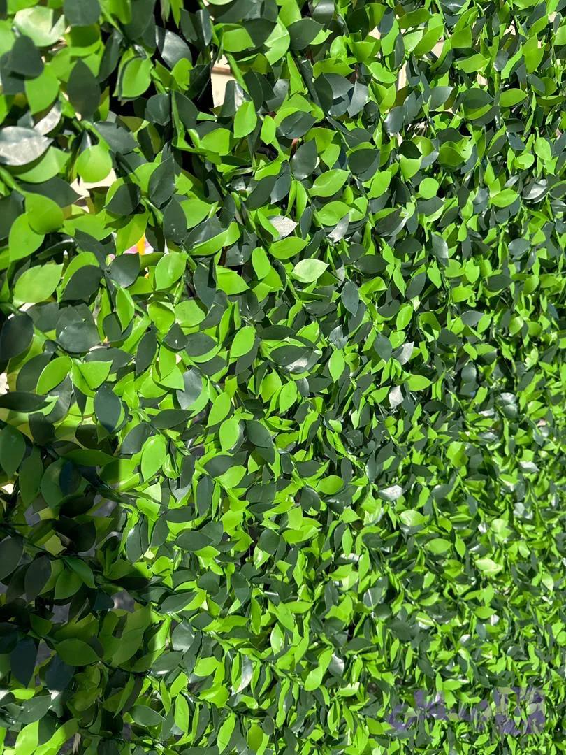فنس چمنی برگ ریحان