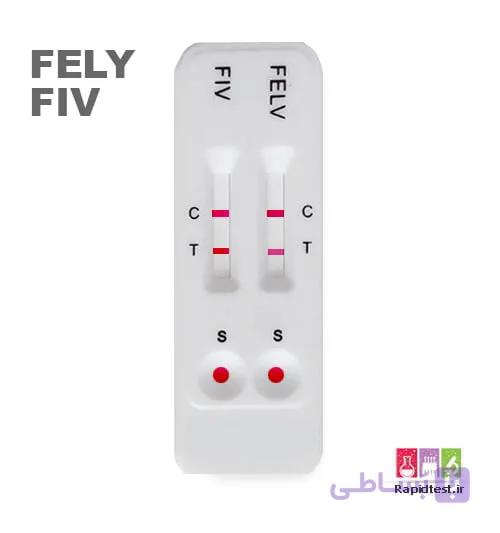 کیت FELV/FIV گربه