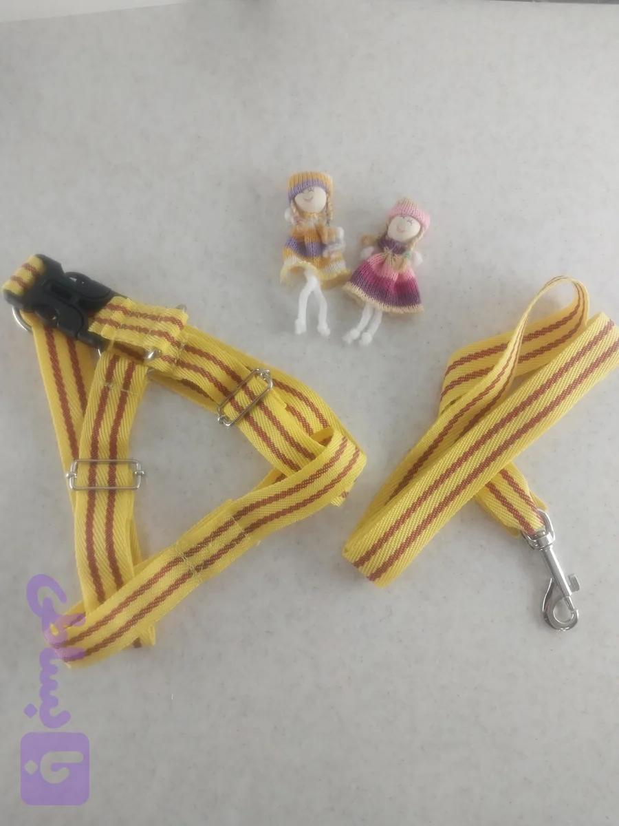 قلاده سگ (کد SN8US)