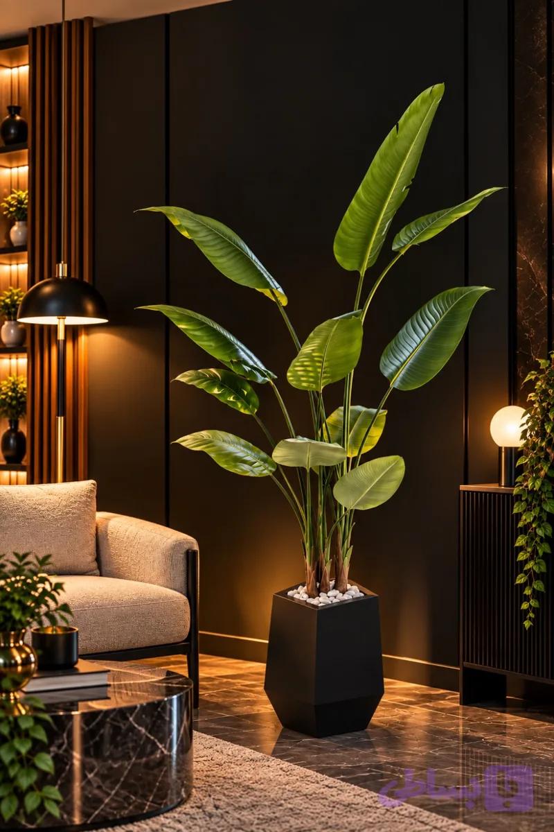 نخل نیکولای سه بوته مصنوعی
