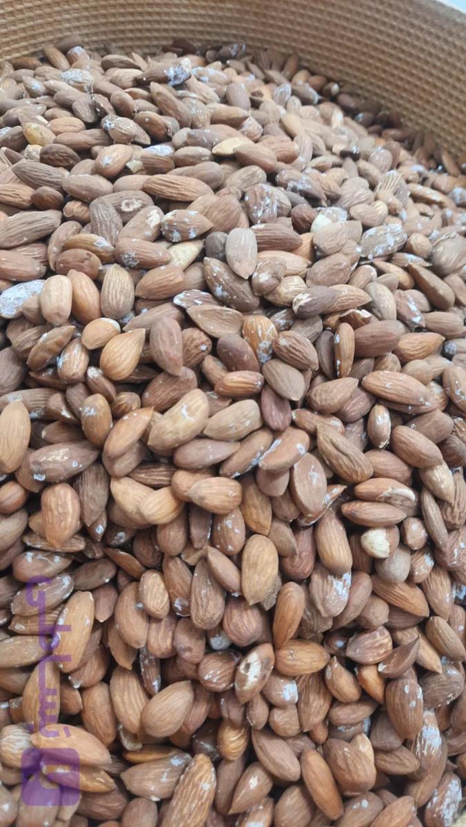 مغز بادام درختی ایرانی (بوداده یا شور)
