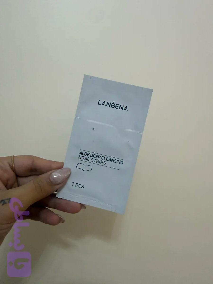 پچ بینی لانبنا