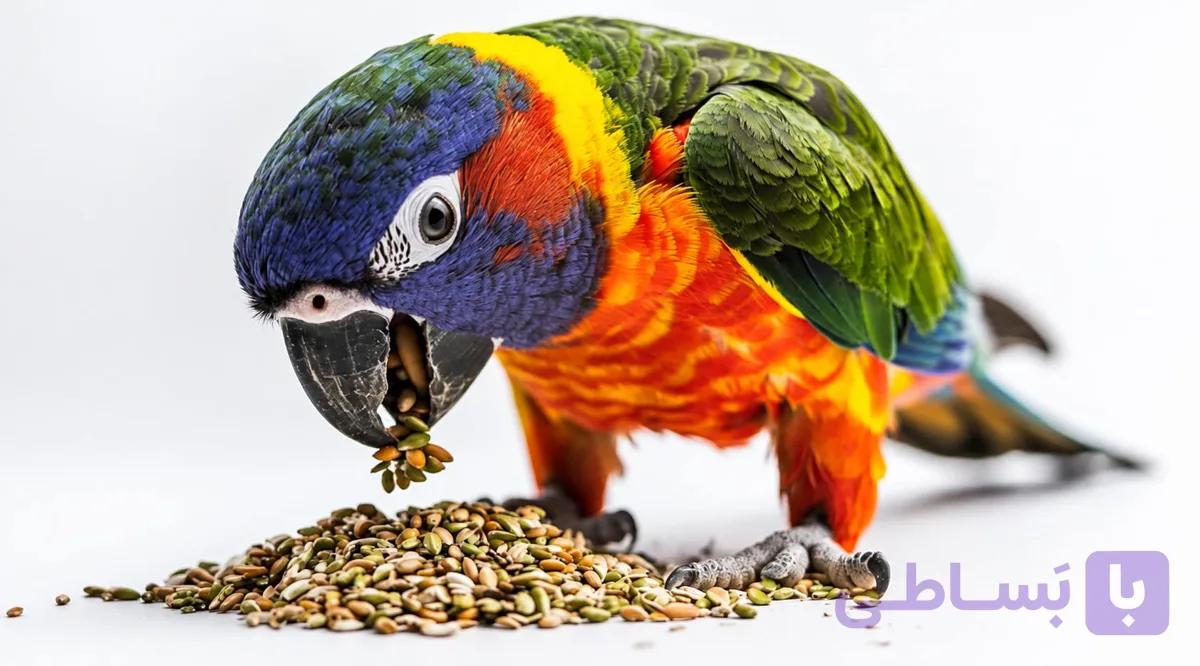ارزن دانه ریز مخصوص طوطی سانان، مرغ عشق، عروس هلندی و کاناری – بسته 10 کیلوگرم — تصویر 1