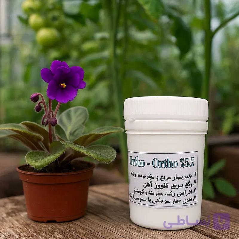 کود پودری آهن اورتو-اورتو 5.2% زایز انگلستان | جذب سریع آهن برای گیاهان — تصویر 1