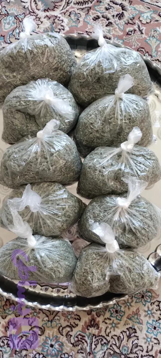 پونه خشک کوهی