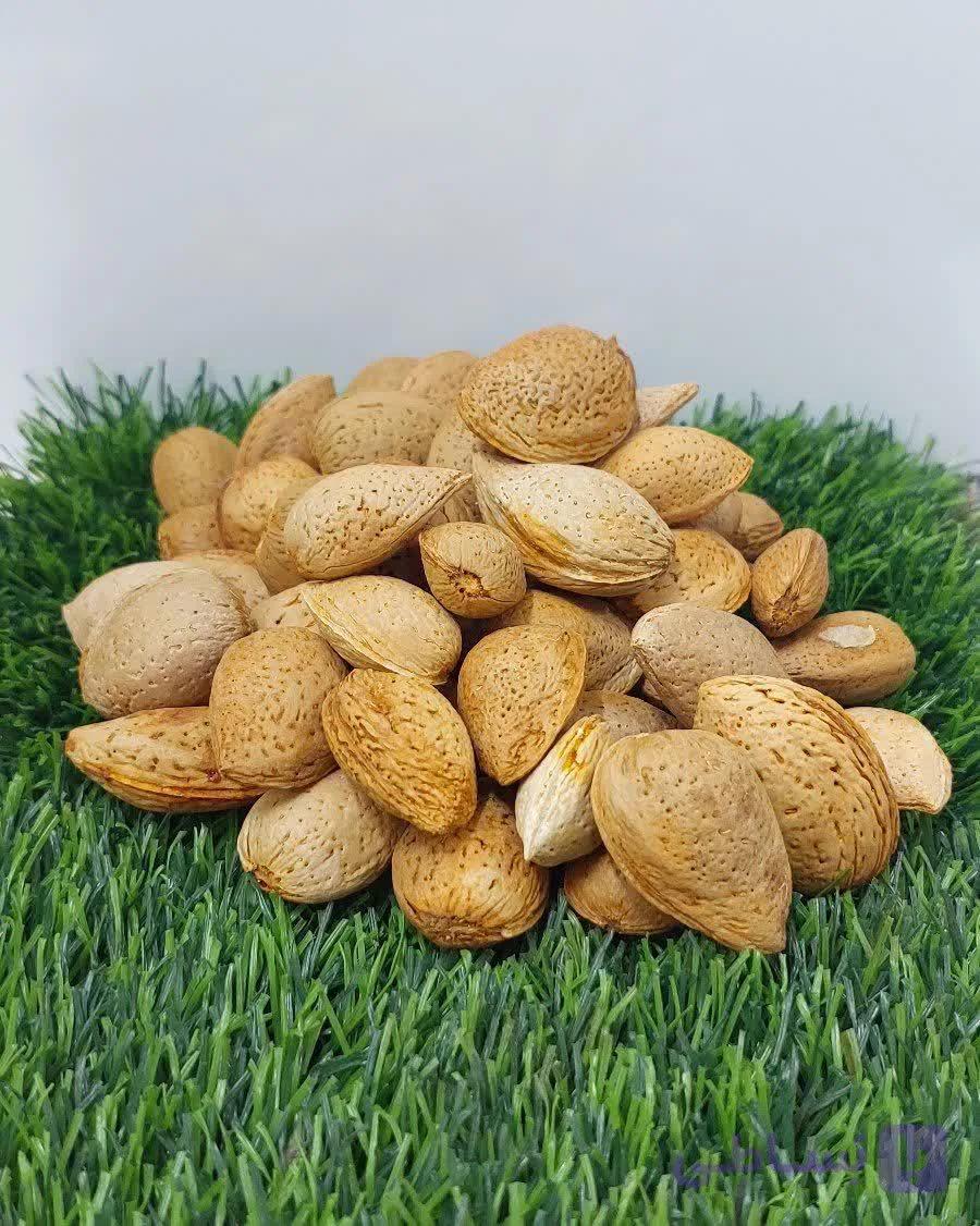بادام درختی سنگی ارگانیک ثمرات یک کیلویی